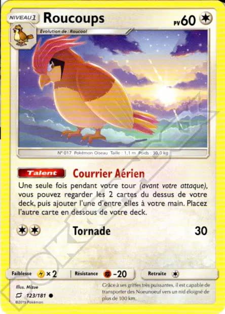 Pidgeotto — Team Up