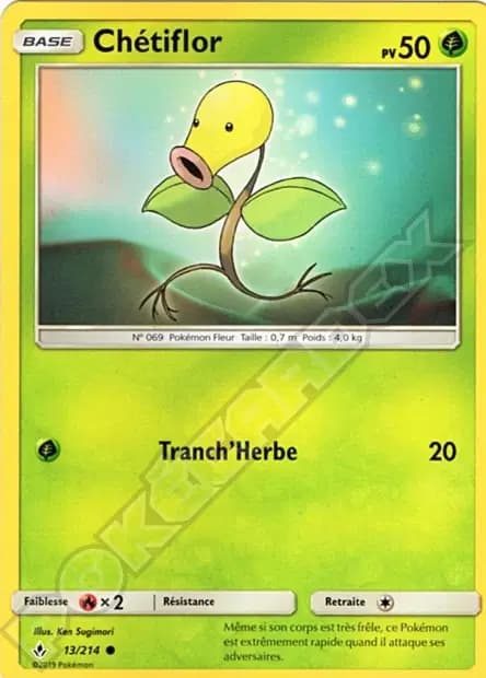 Bellsprout — Unbroken Bonds