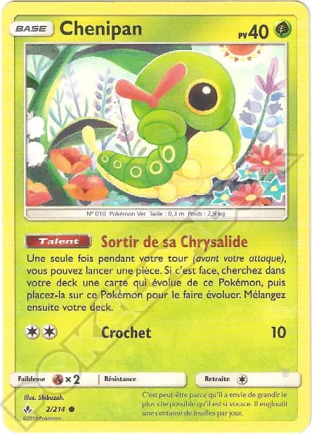 Caterpie — Unbroken Bonds