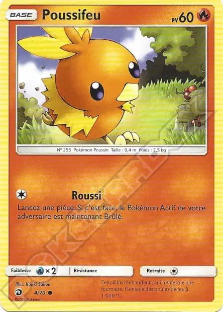 Torchic — Dragon Majesty