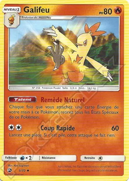 Combusken — Dragon Majesty
