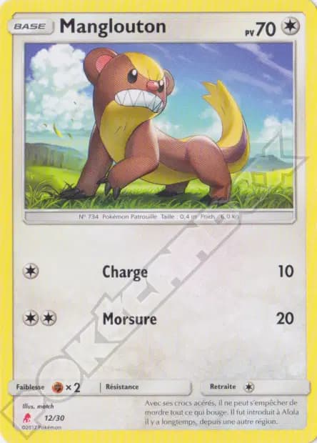 Yungoos — SM Trainer Kit (Lycanroc)