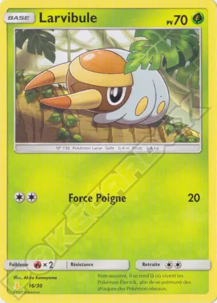 Grubbin — SM Trainer Kit (Alolan Raichu)