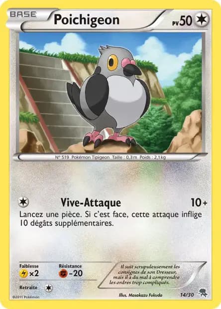 Pidove — BW Trainer Kit (Zoroark)