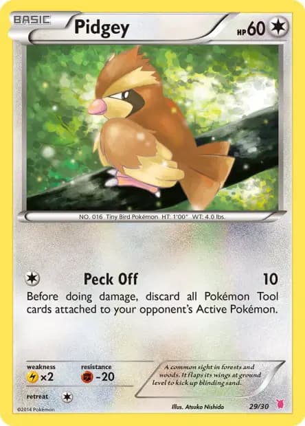 Pidgey — XY Trainer Kit (Wigglytuff)