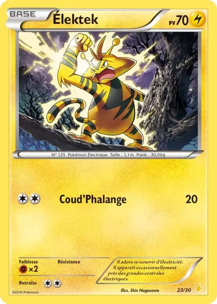 Electabuzz — XY Trainer Kit (Pikachu Libre)