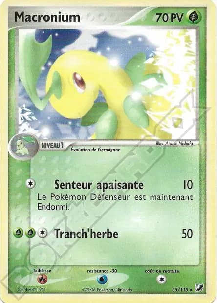 Bayleef — EX Unseen Forces