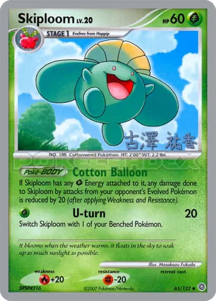 Skiploom — World Championships 2010