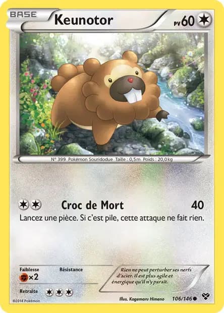 Bidoof — XY