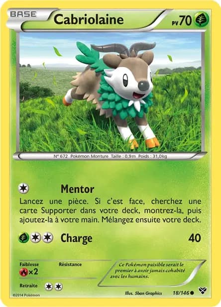Skiddo — XY