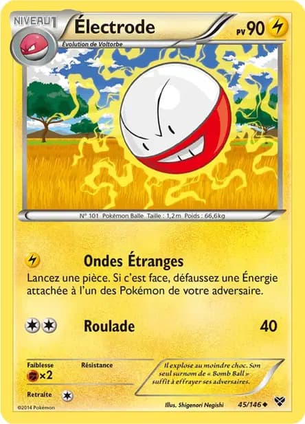 Electrode — XY