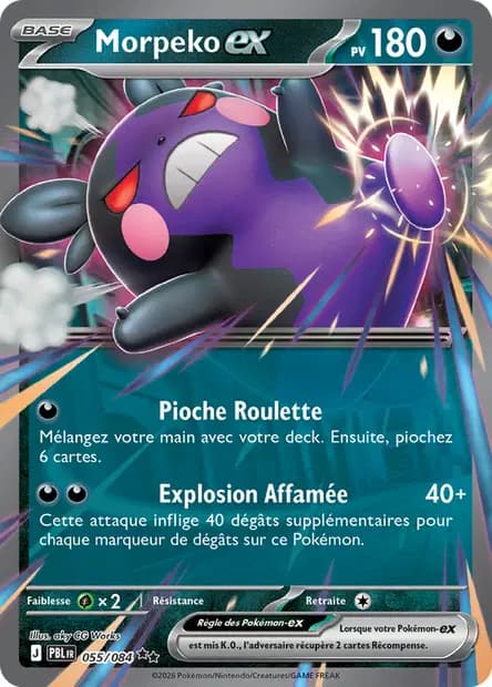 Morpeko — Nuit Noire