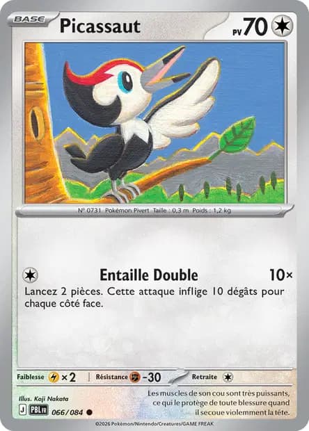 Picassaut — Nuit Noire